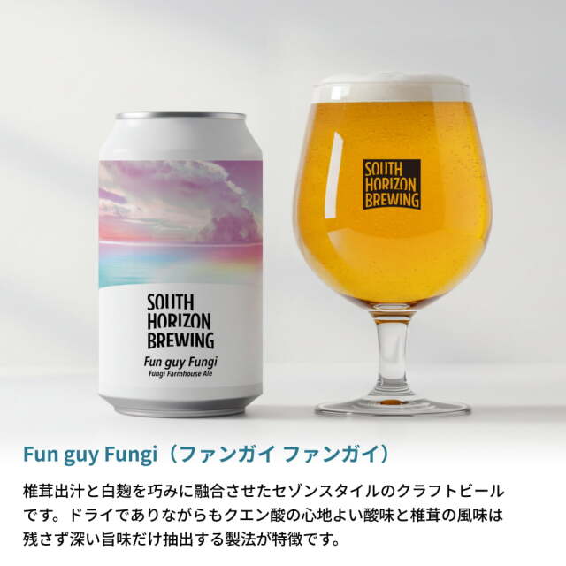 SOUTH HORIZON BREWING　クラフトビール定番6本せっと