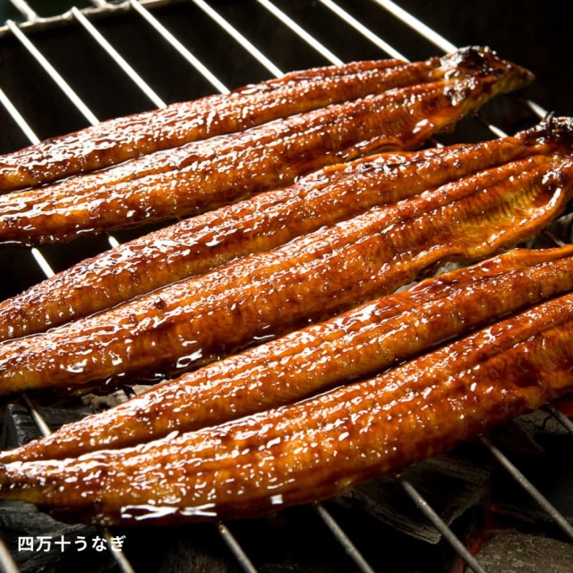 土佐の高知のお客ぞねせっと