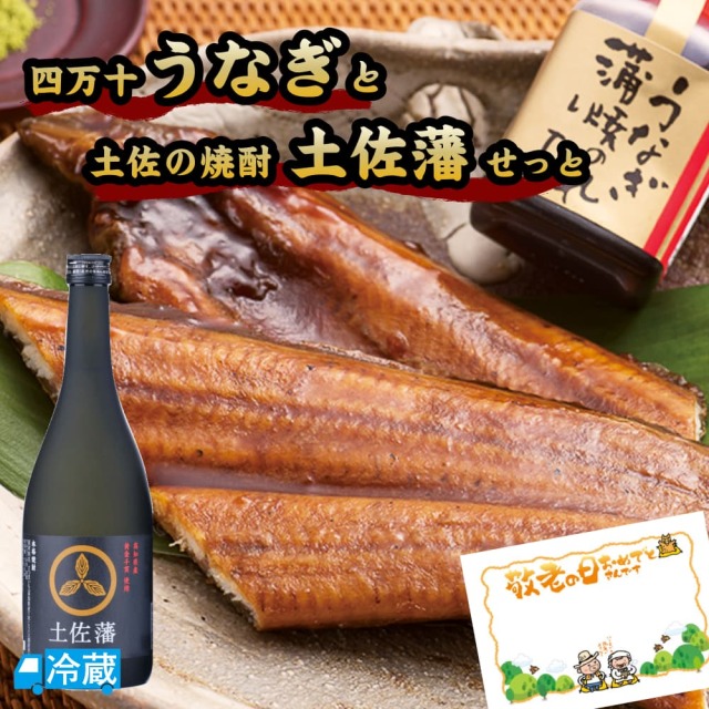 四万十うなぎと土佐の焼酎「土佐藩」せっと ギフト用