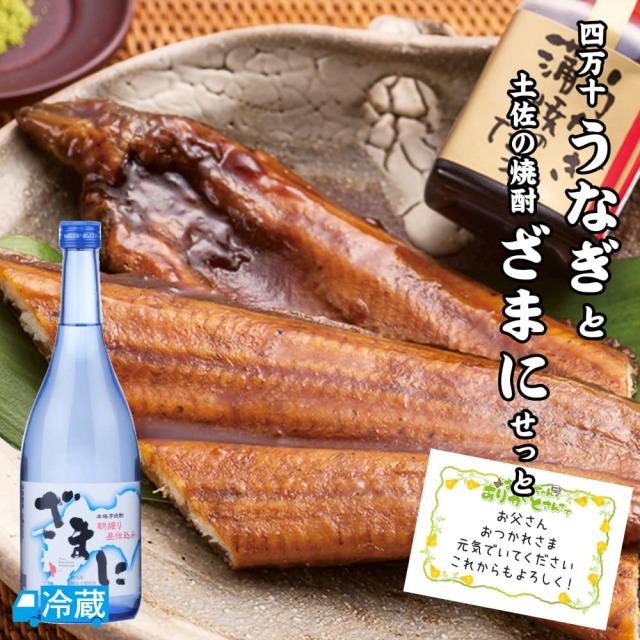 四万十うなぎと土佐の焼酎「ざまに」せっと ギフト用
