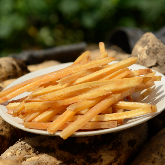 澁谷食品　塩けんぴ