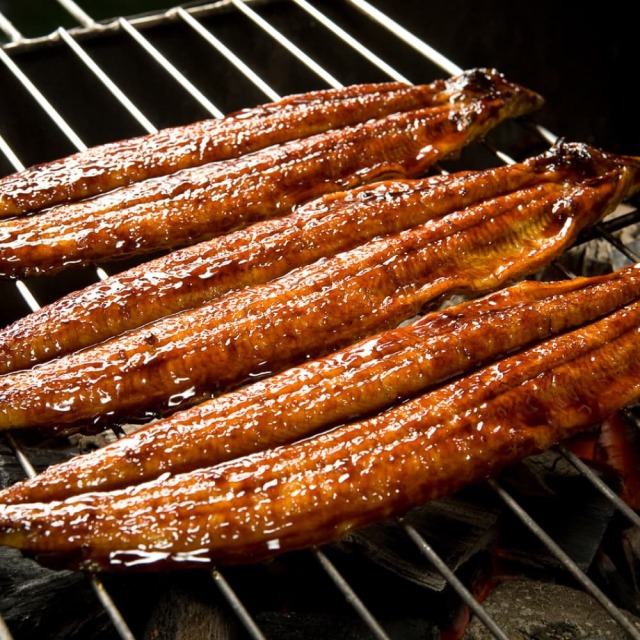 四万十うなぎと鰹タタキとカツオ赤身せっと