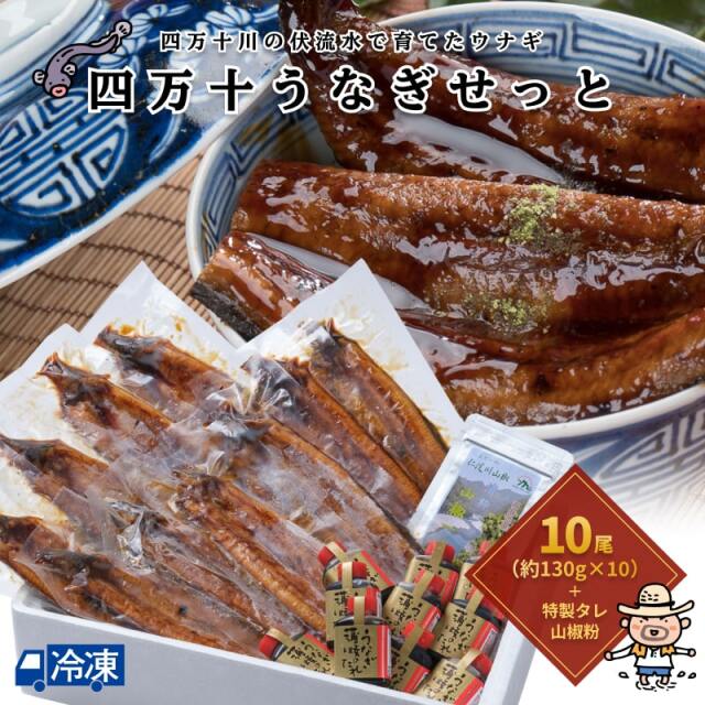 【送料無料】四万十うなぎせっと＜10尾＞