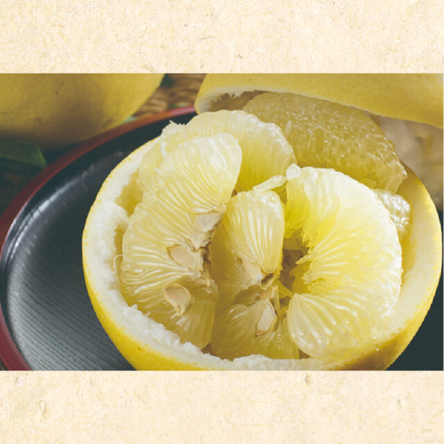 土佐文旦 ギフト用 3L 10kg