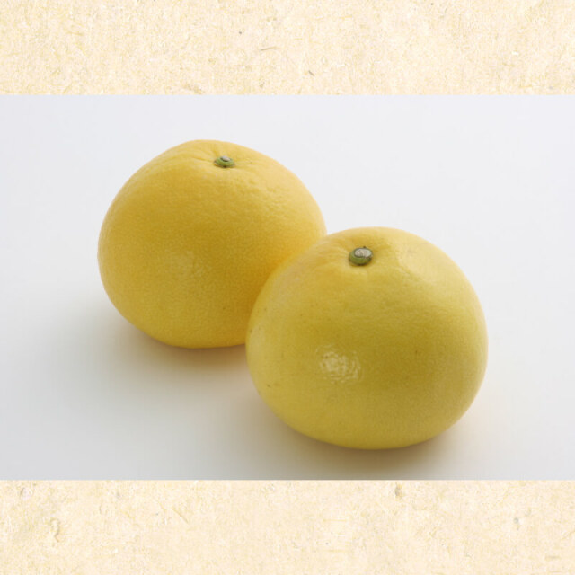ハウス文旦5kg（7〜8玉）