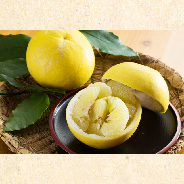 W岡林家庭用文旦２L１９玉【送料無料】
