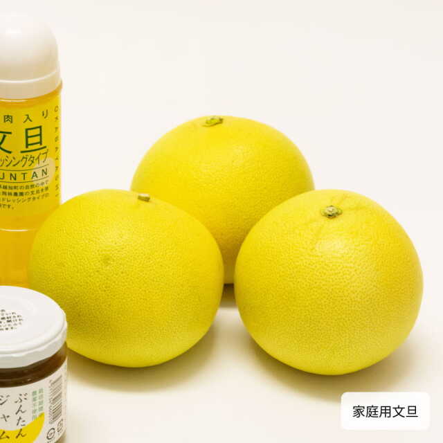 岡林農園さんの文旦いろいろせっと