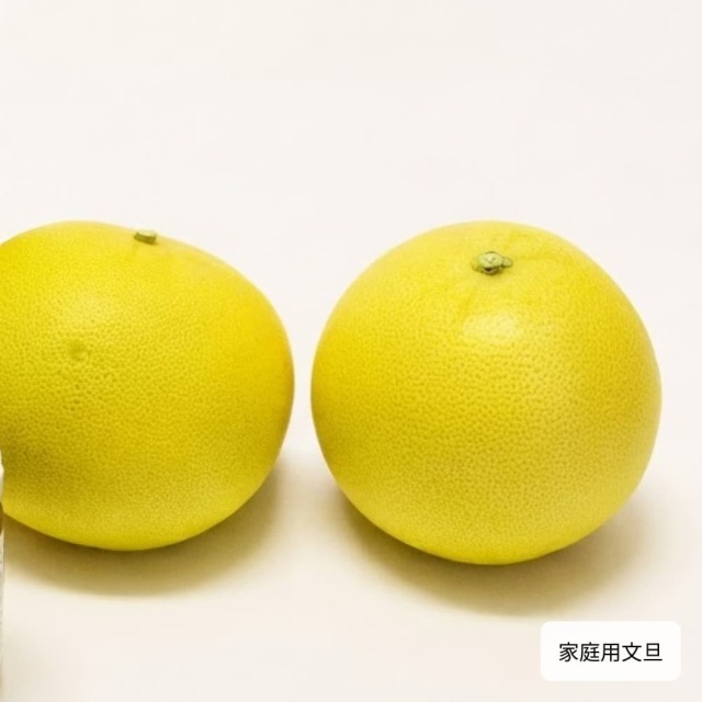 岡林農園さんの文旦いろいろせっと