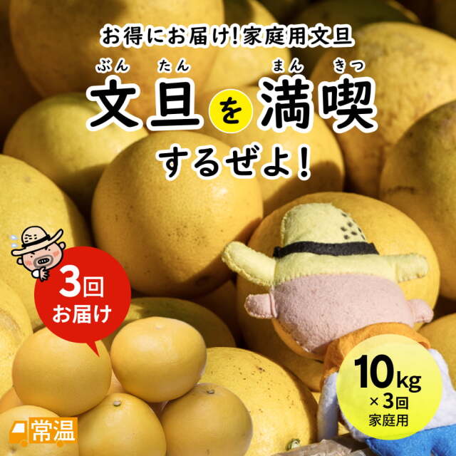 文旦を満喫するぜよ！3回お届け便