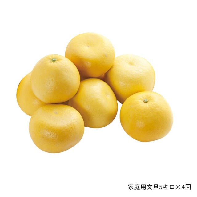 すえひろ屋の文旦完全制覇せっと