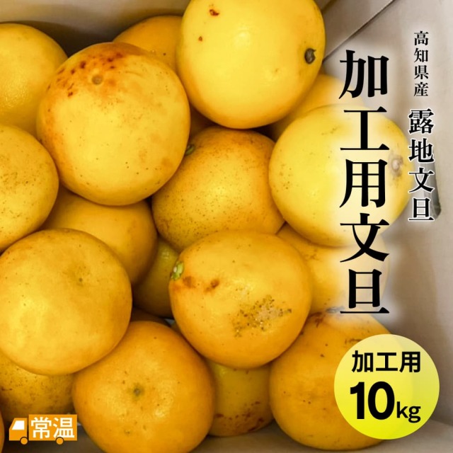 加工用文旦 10キロ