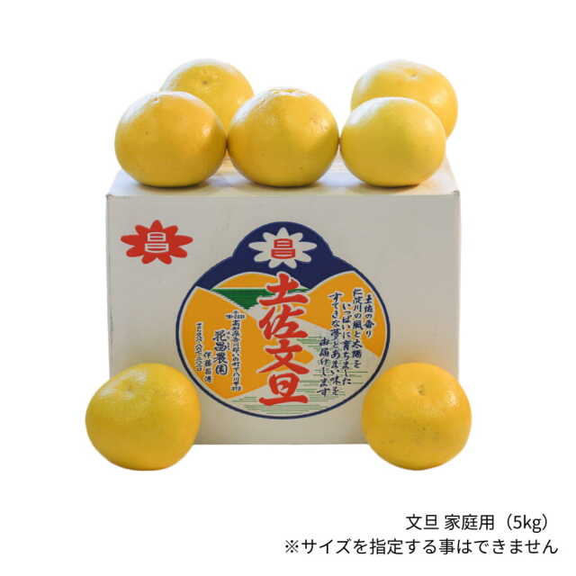 花昌農園　家庭用文旦　5?s