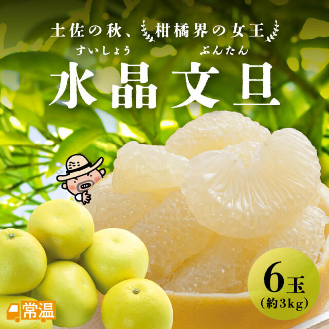 最高に美味しい特選水晶文旦 四季折 24