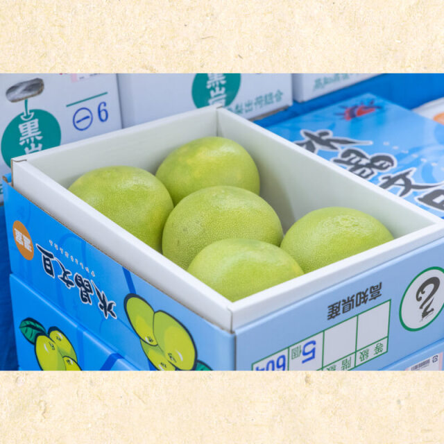 水晶文旦 8玉入（約3kg） | 高知県土佐町【すえひろ屋】