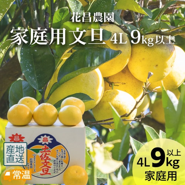 花昌EM文旦 家庭用4L 9kg以上