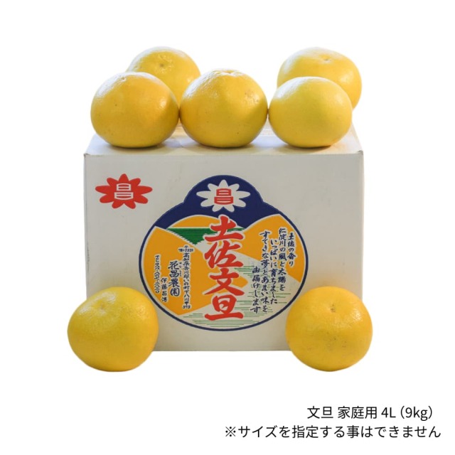 花昌EM文旦 家庭用4L 9kg以上