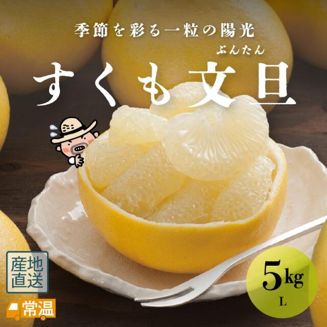 すくも文旦 L 5kg