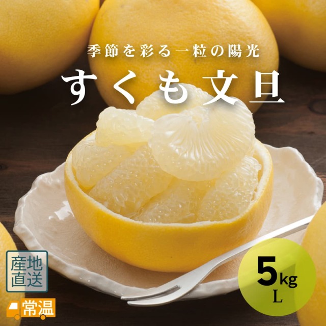 すくも文旦 L 5kg