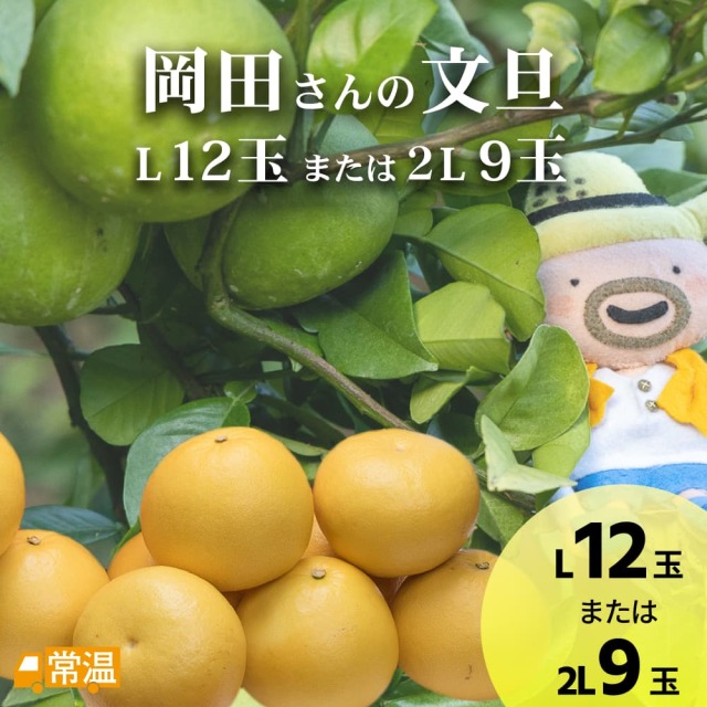 岡田さんの文旦　L12玉または2L9玉入