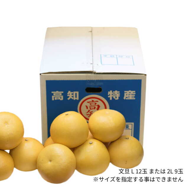 岡田さんの文旦　L12玉または2L9玉入