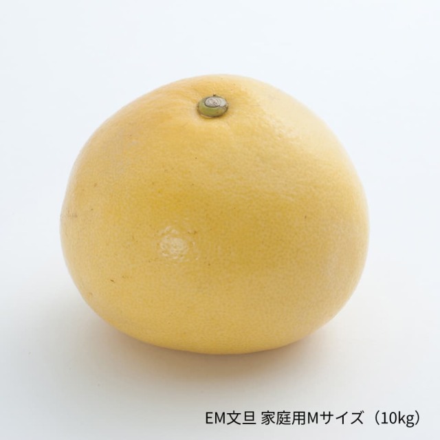 岡田EM文旦 家庭用Mサイズ 約10kg