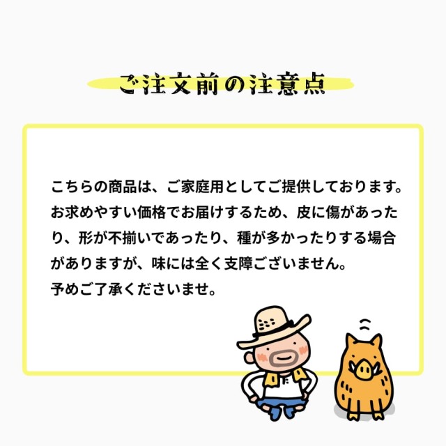 岡田EM文旦 家庭用Mサイズ 約10kg