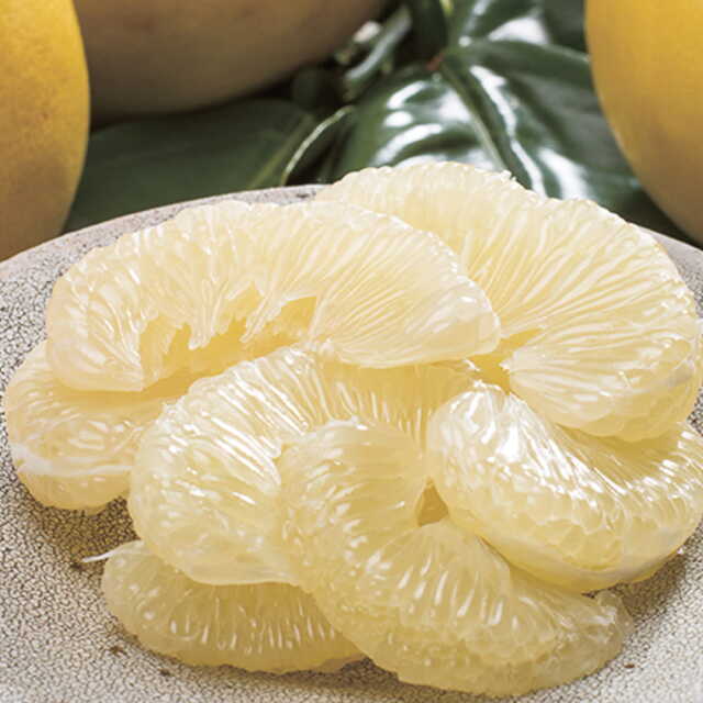 すくも文旦　家庭用　3?s