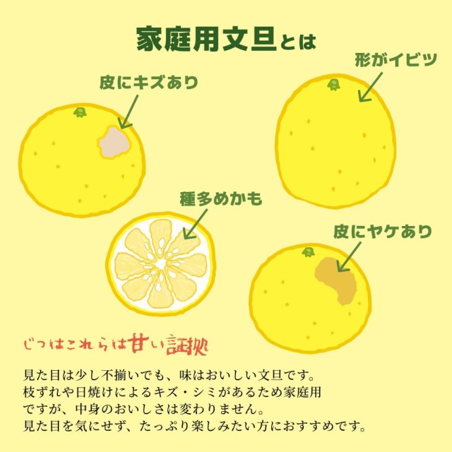 すくも文旦　家庭用・小玉（S・Mサイズ）約6?s