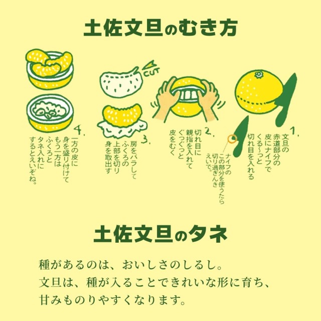 すくも文旦　家庭用・小玉（S・Mサイズ）約6?s