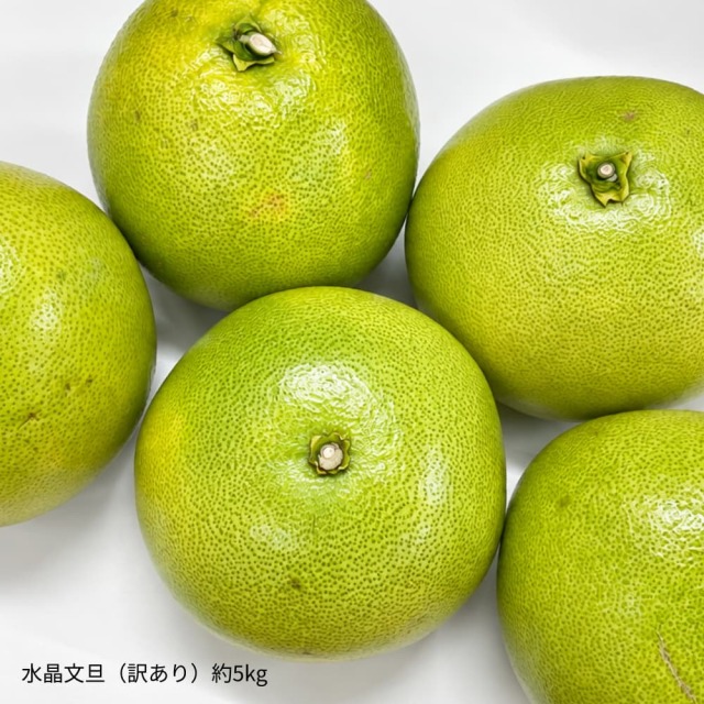 訳あり水晶文旦