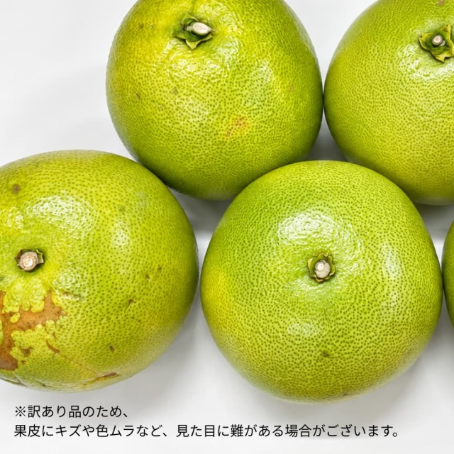 訳あり水晶文旦