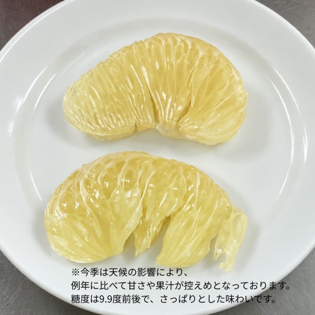 訳あり水晶文旦