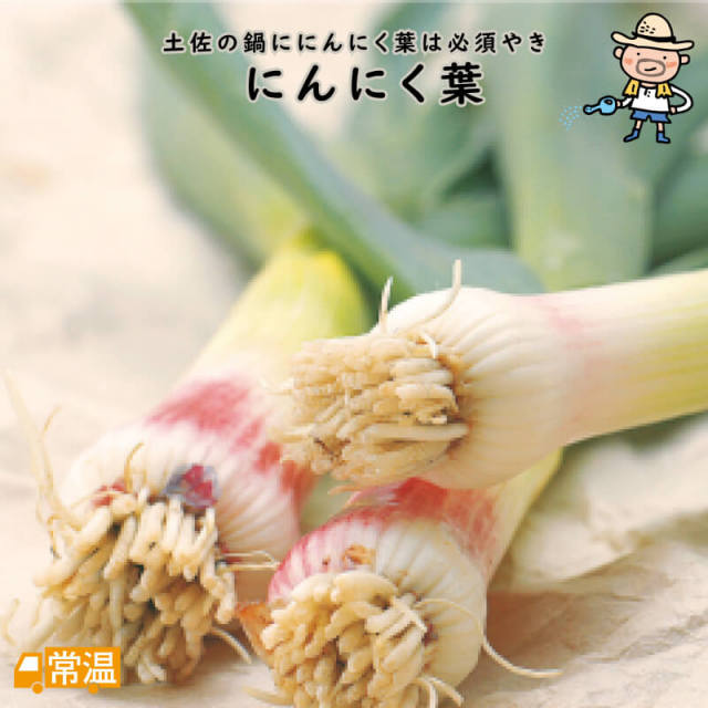 にんにく葉(1束)