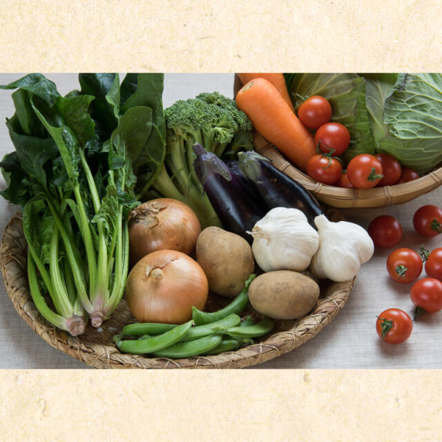 高知の野菜せっとトレトレ10点盛