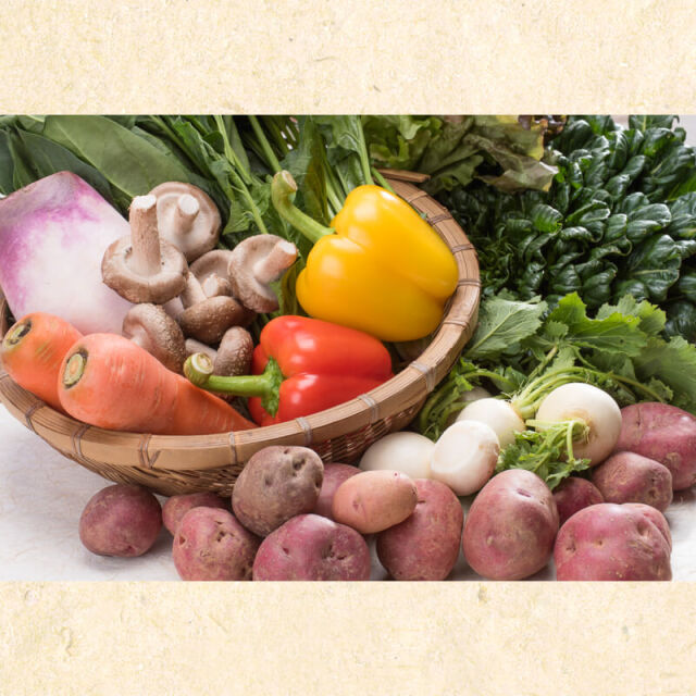 高知の野菜せっとトレトレ10点盛