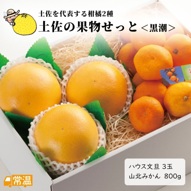 土佐の果物せっと＜黒潮＞