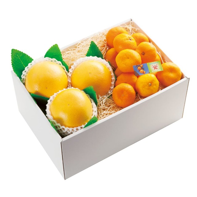 土佐の果物せっと＜黒潮＞