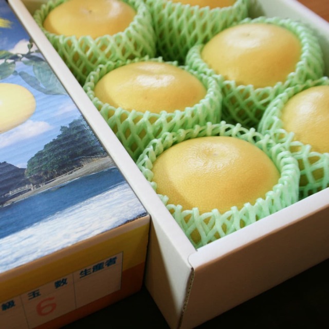 土佐の果物せっと＜黒潮＞