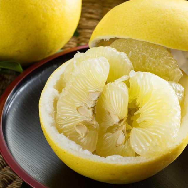 土佐の果物せっと＜黒潮＞