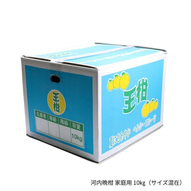 大串農園 河内晩柑 約10kg 家庭用・サイズ混在