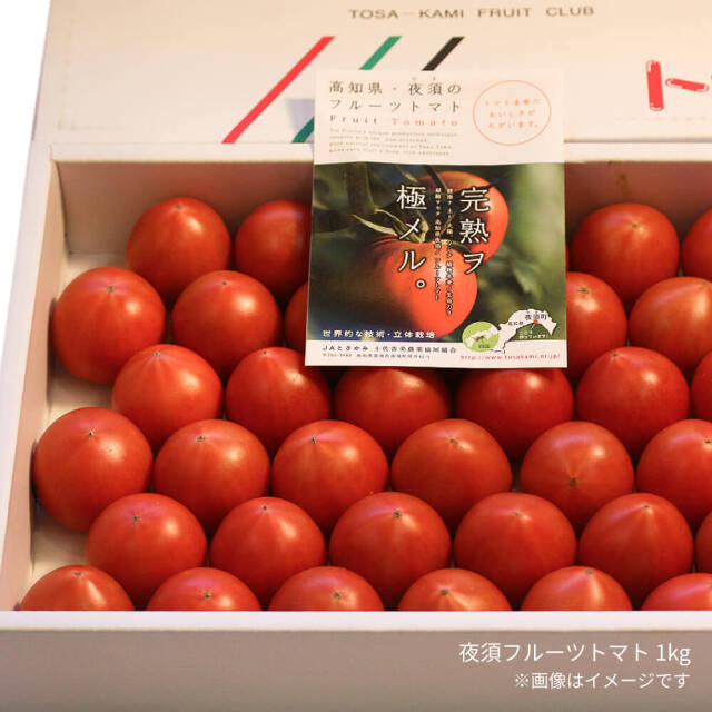 夜須フルーツトマト1kg（約16～20玉入）
