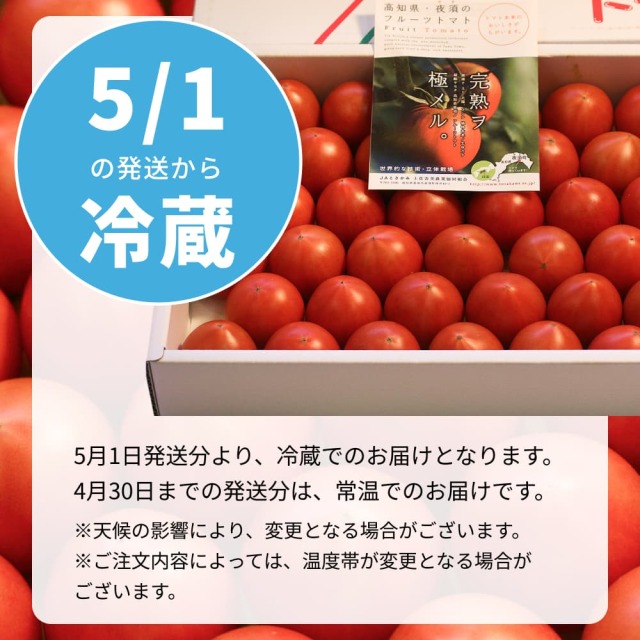夜須フルーツトマト1kg