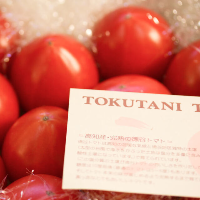 徳谷トマト1kg | 高知県土佐町【すえひろ屋】