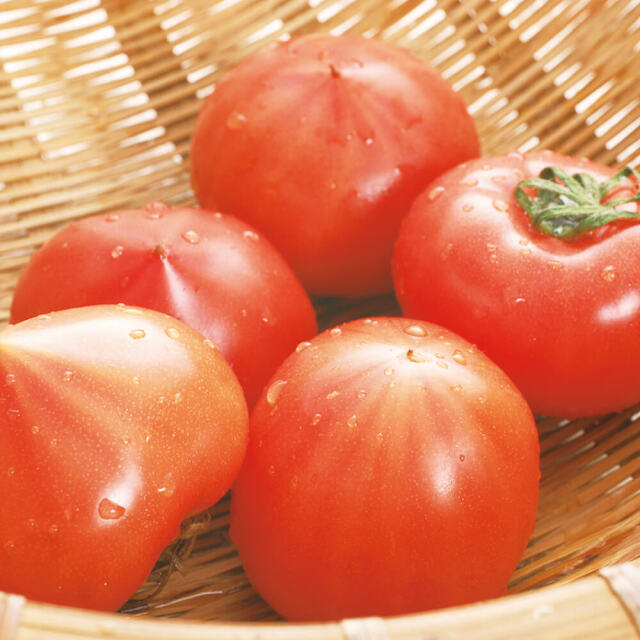 とまと 徳谷トマト1kg | 高知県土佐町【すえひろ屋】