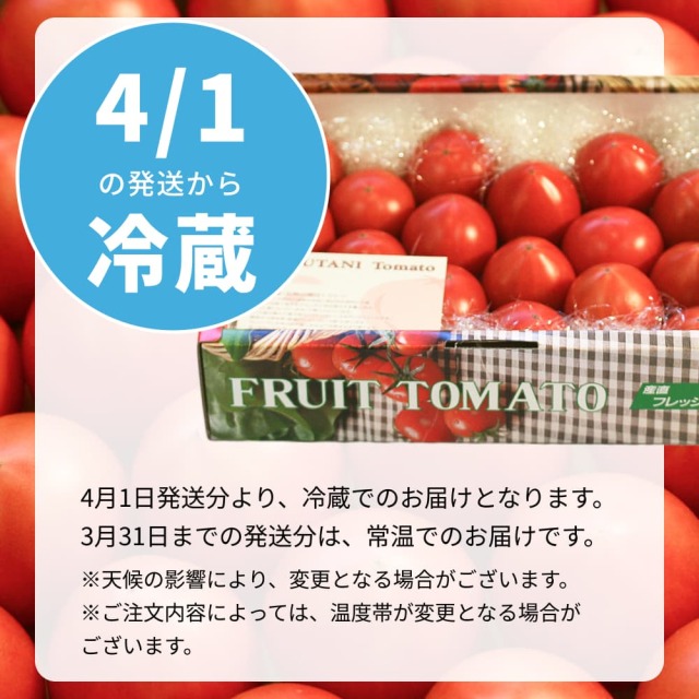 徳谷トマト1kg | 高知県土佐町【すえひろ屋】