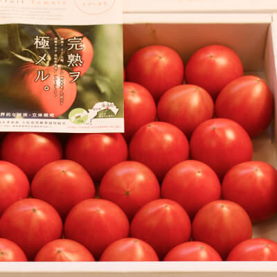 夜須フルーツトマト2kg | 高知県土佐町【すえひろ屋】