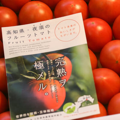 夜須フルーツトマト2kg | 高知県土佐町【すえひろ屋】
