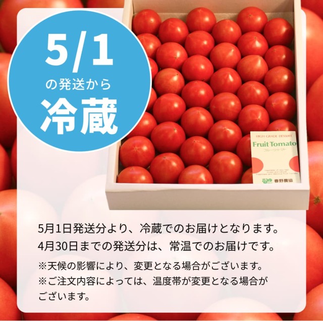 春野フルーツトマト2kg