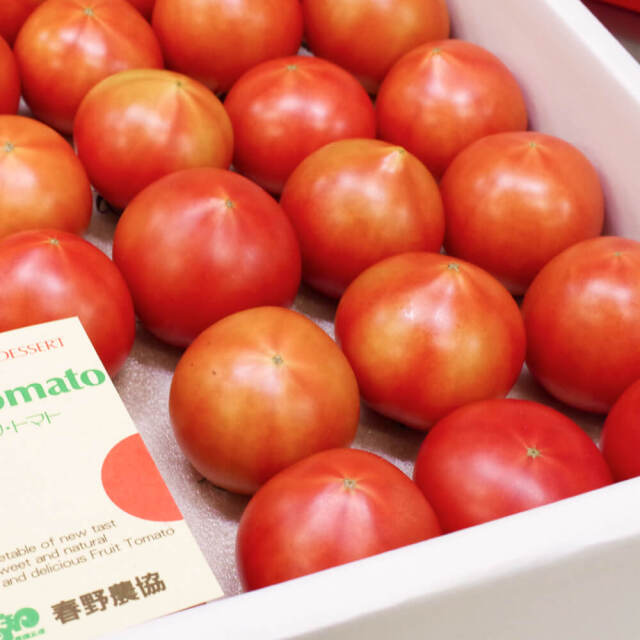 春野フルーツトマト1kg（約16～20玉入）