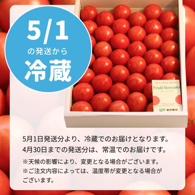 春野フルーツトマト1kg